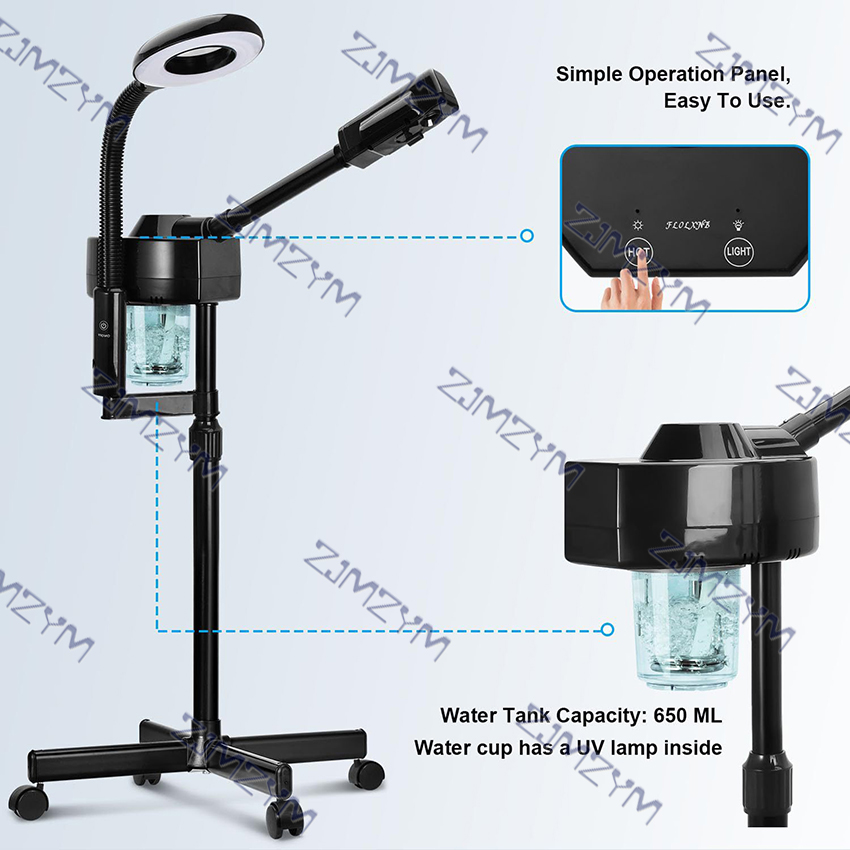 2-In-1 Facial Steamer with Lig - Face Steamer recension och pris