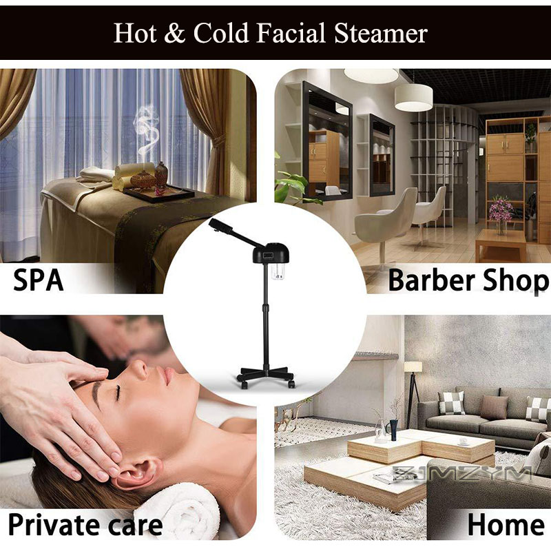 Professional Hot Cold Facial S - Face Steamer recension och pris